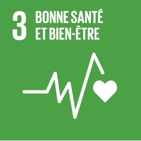 SDG_E_Individual Icons