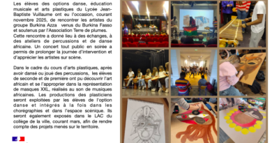 Projet interdisciplinaire des enseignements artistiques au Lycée J.B Vuillaume de Mirecourt