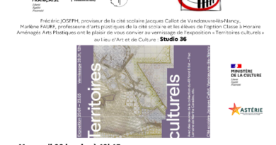 Exposition Territoires culturels au LAC du collège Jacques-Callot de Vandoeuvre-les-Nancy