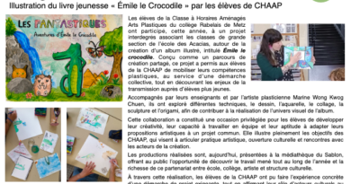 Illustration du livre jeunesse « Émile le Crocodile » par les élèves de CHAAP du collège rabelais de metz