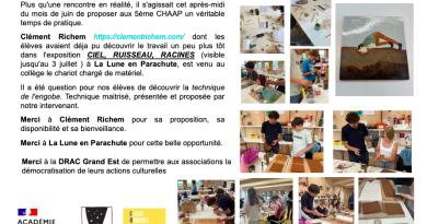 Collège Elsa triolet thon les Vosges