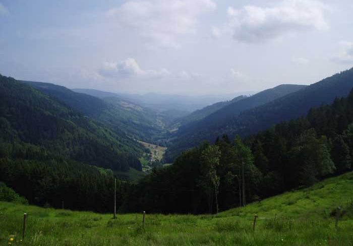 vallée de la Liepvrette vue du col des Bagenelles 