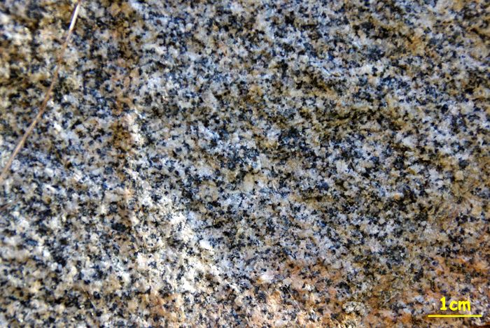 échantillon de granodiorite