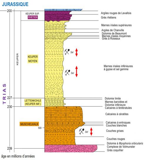 position du sel dans la serie stratigraphique