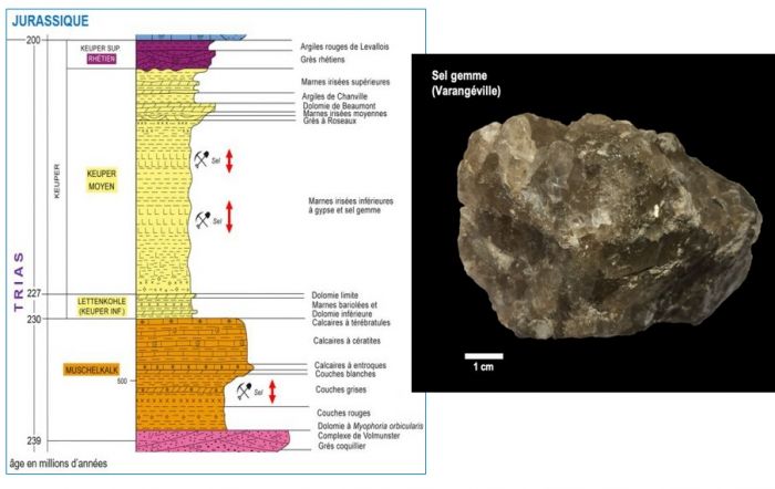 position du sel gemme dans la série stratigraphique du Trias