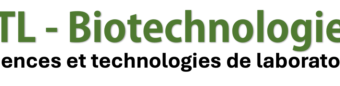 Immersion STL – Enquête environnementale