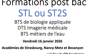 Formation post-bac STL ou ST2S : BTS BiotechRP, DTS IMRT et BTS Métiers de l&rsquo;Eau
