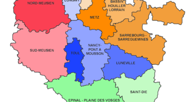 Programme de formation académique en BGB 2025 – 2026