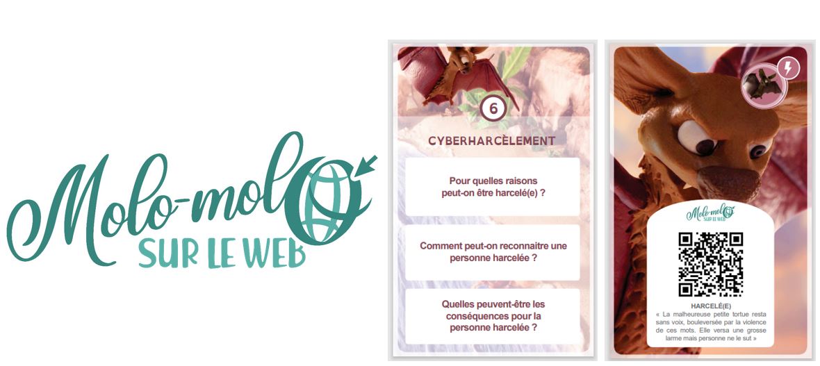 carte-cyber-6