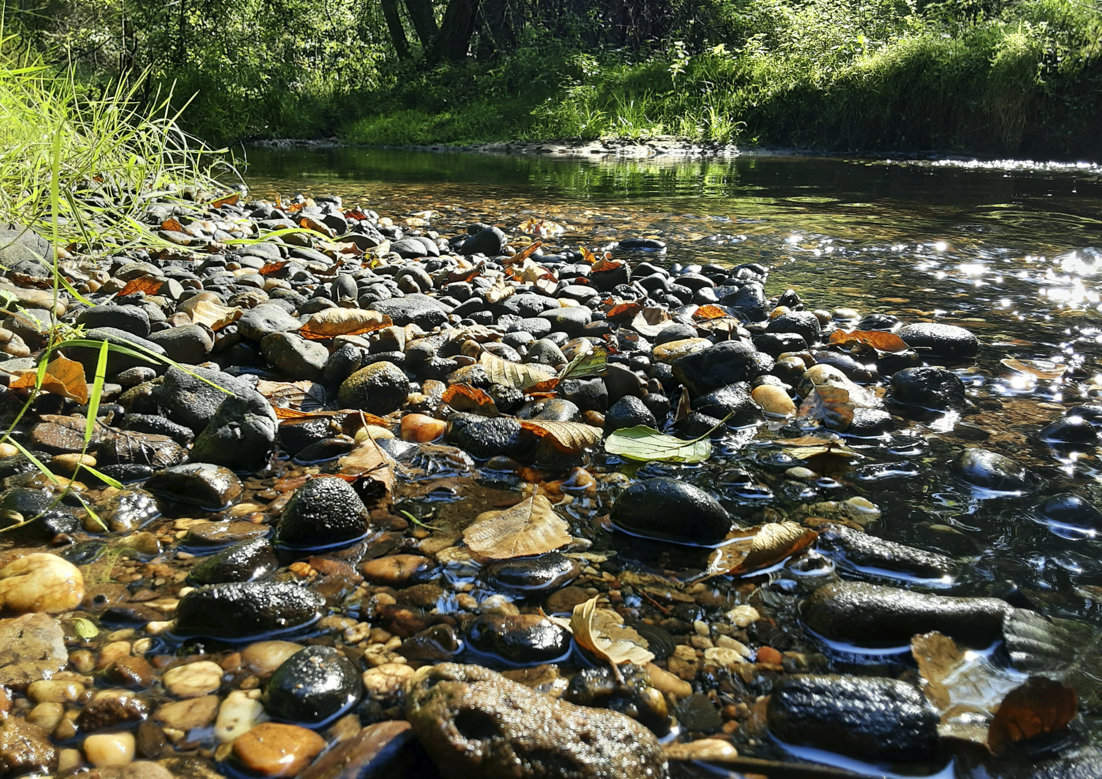 Le soleil naissant sur la rivière nous offre ses reflets. 