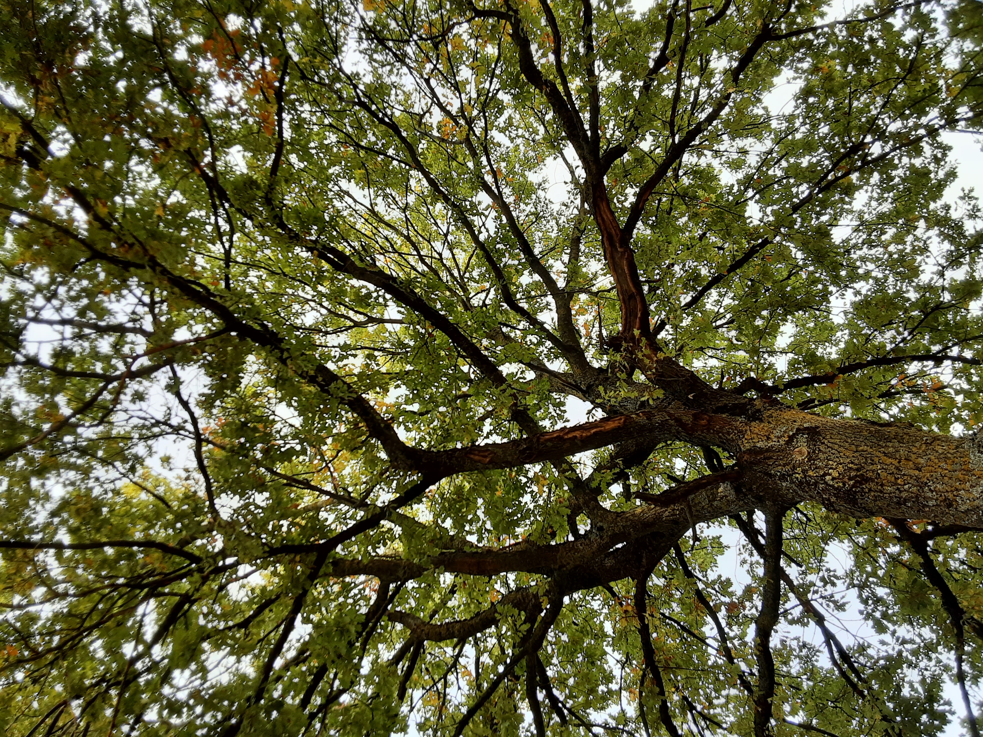 A l'arboretum, la lumière est source de vie...