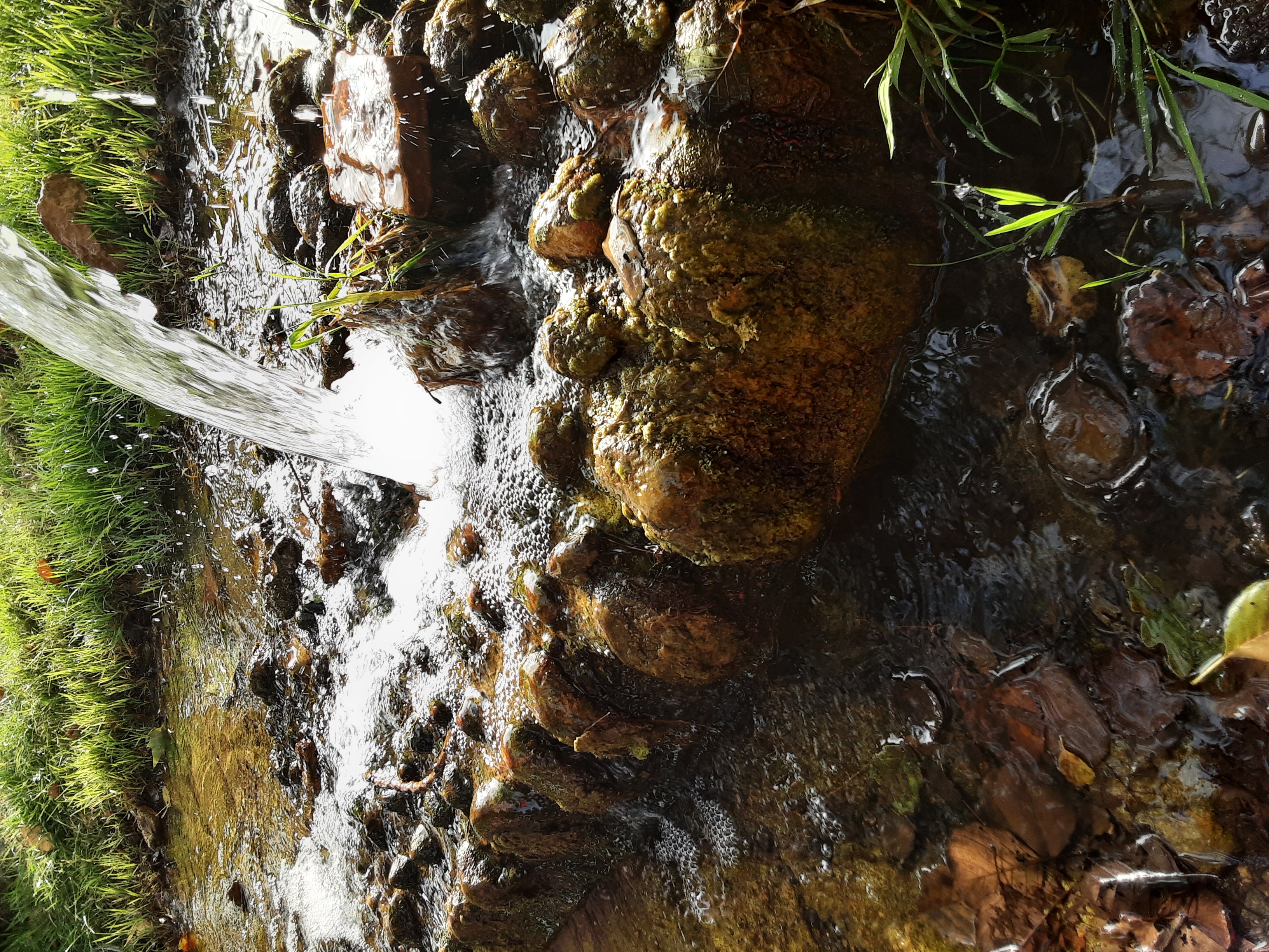 L'eau, source de vie, dynamique en notre territoire.