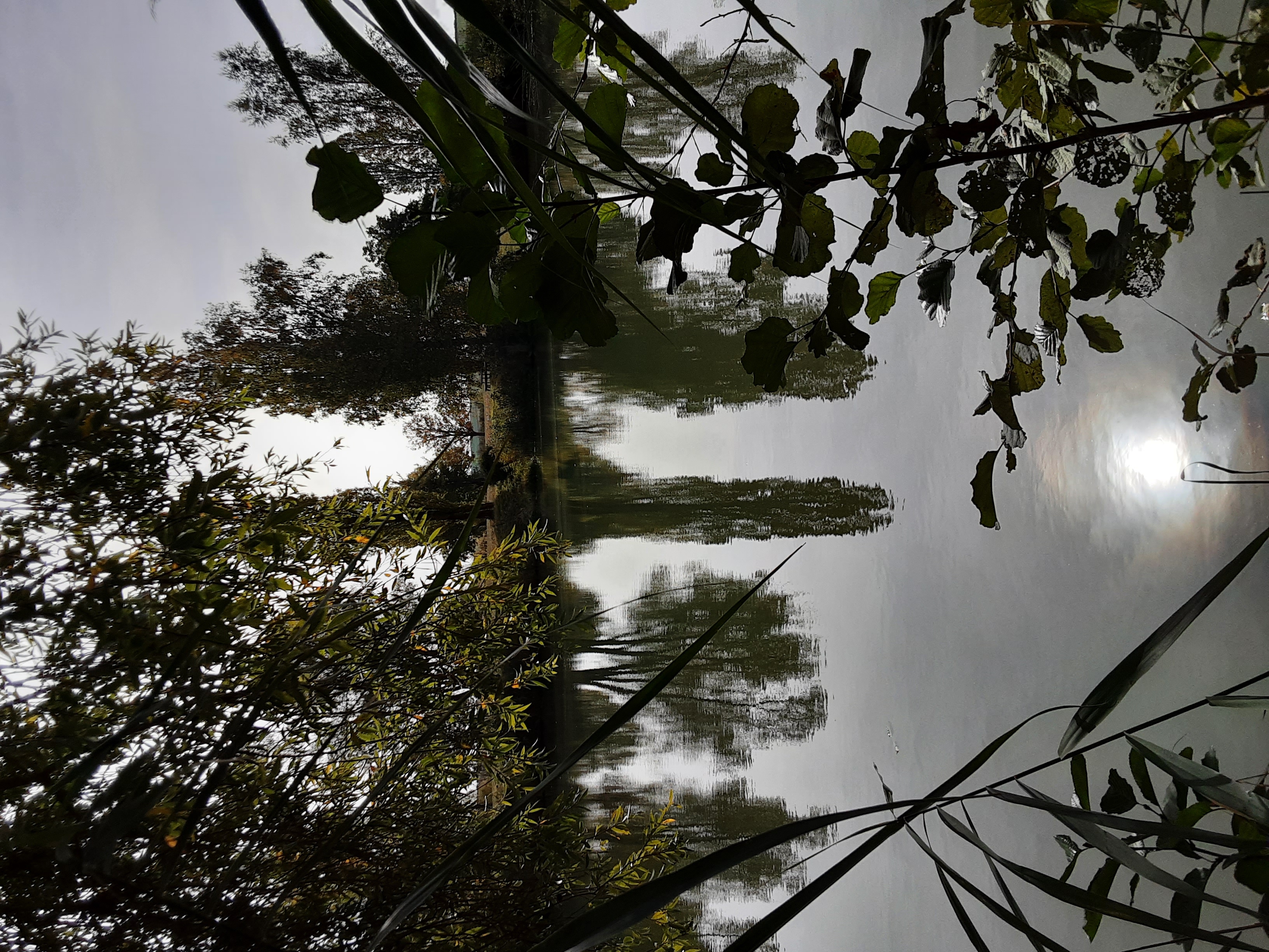 Le soleil, reflet de l’énergie du Territoire.