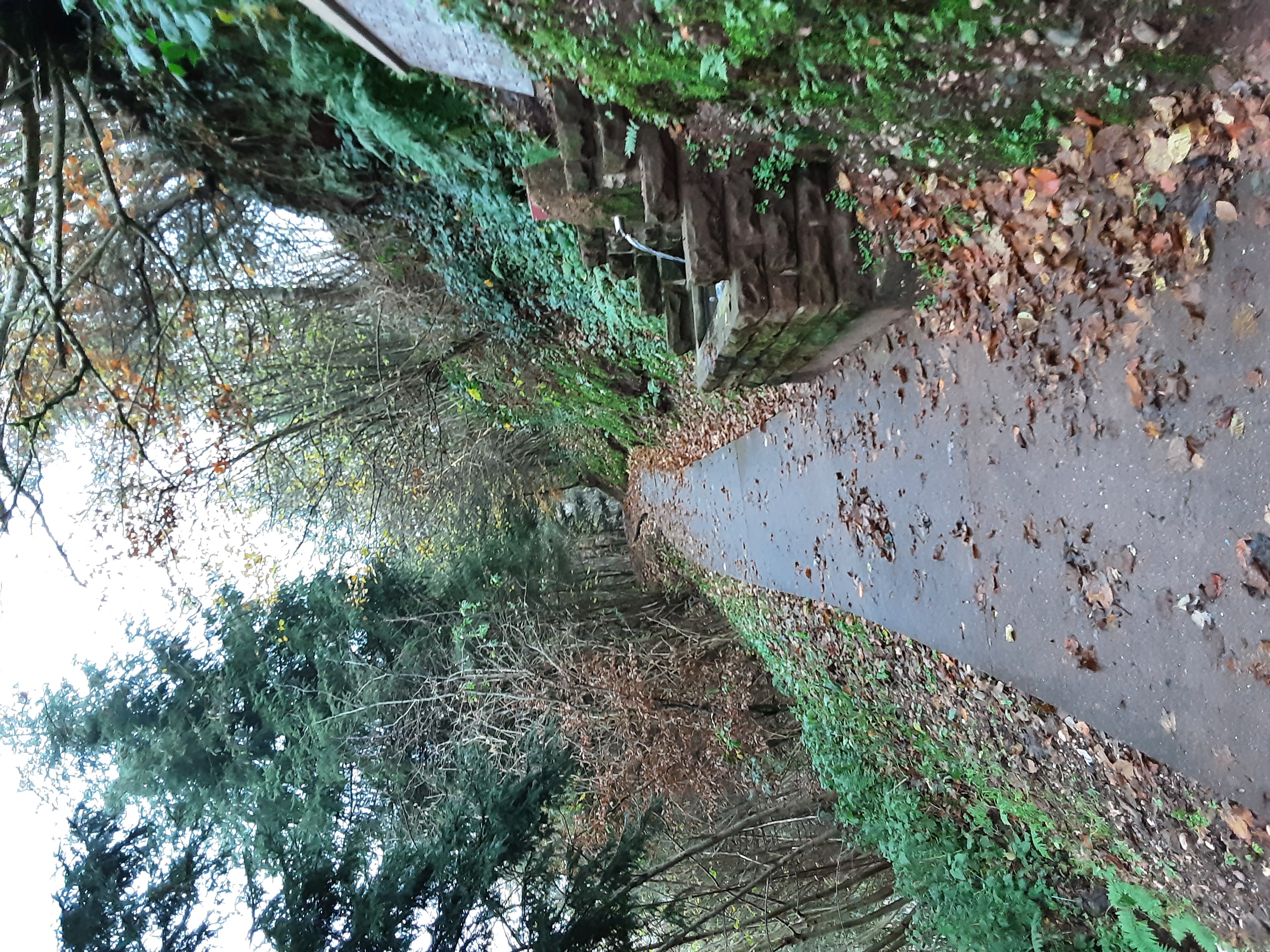 A Walscheid, sur le chemin du promontoire, se dévoilent une fontaine en pierre et la forêt qui s'endort à l'approche de l'hiver.