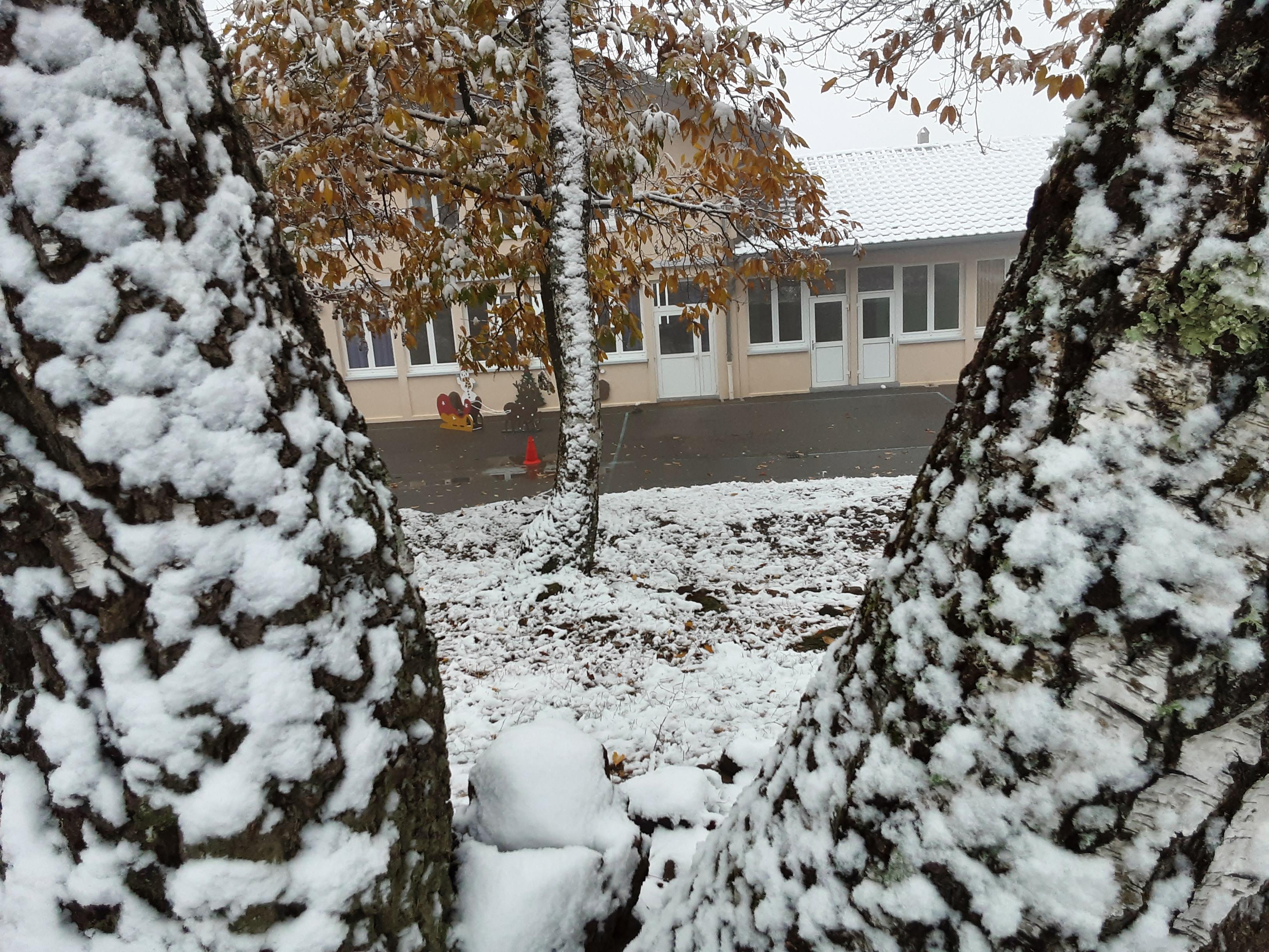 Entre deux communes, entre deux arbres se trouve la classe unique des jeunes enfants d'Hommert et d'Harreberg.