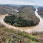 Lire la suite à propos de l’article RALLYE BILINGUE AU PARC DES LOUPS & BOUCLE DE LA SARRE