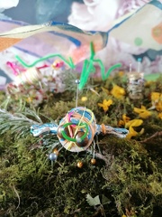 droles de petites bêtes 3 (1)