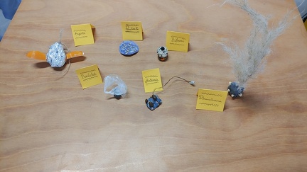 Curiosités Apach Graines