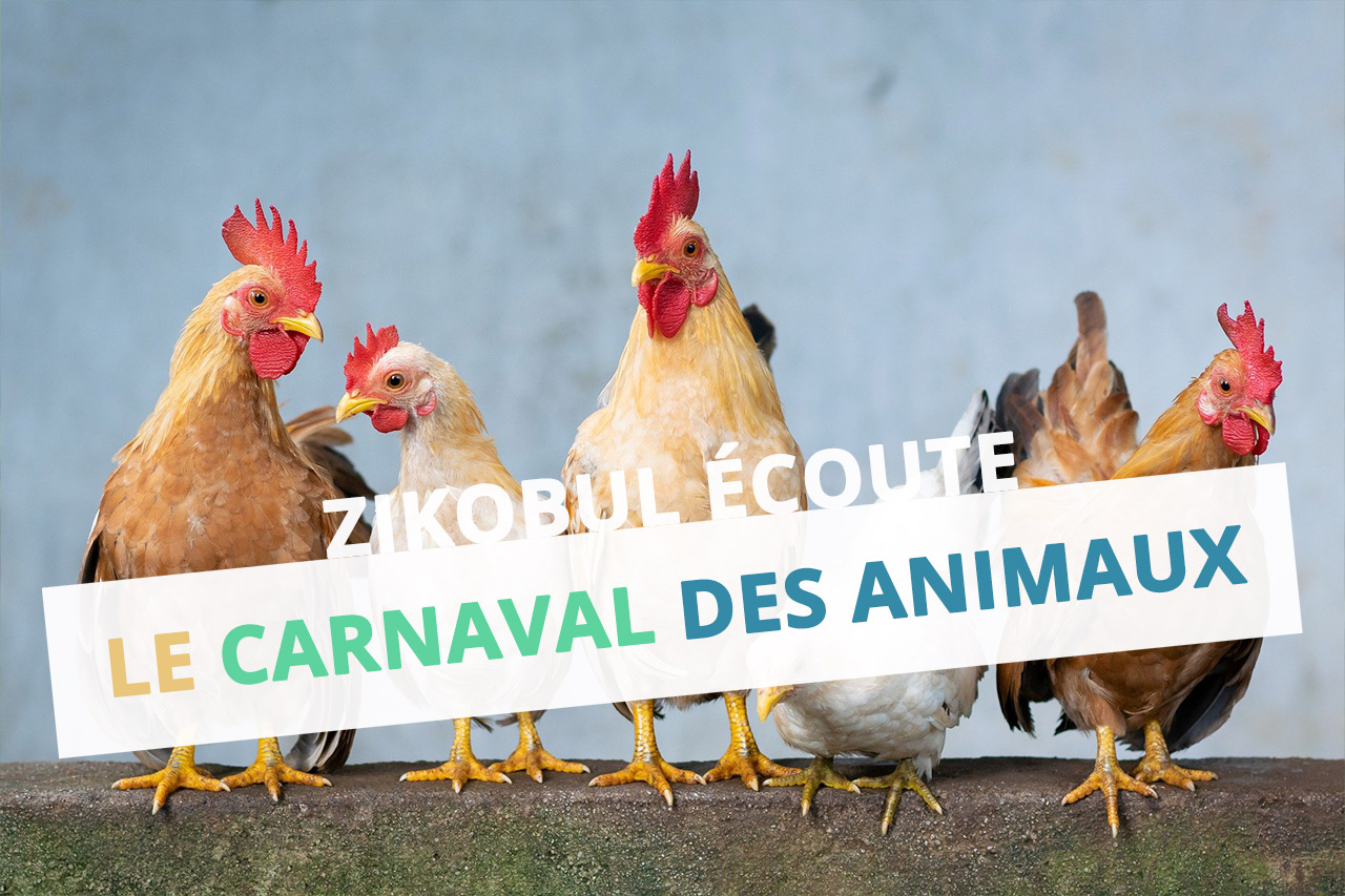 Le Carnaval des Animaux Camille Saint-Saëns