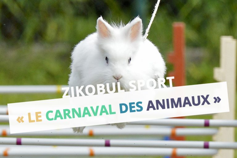 carnaval animaux sport zikobul apq activite physique ecoute musique cpem 57 moselle dsden