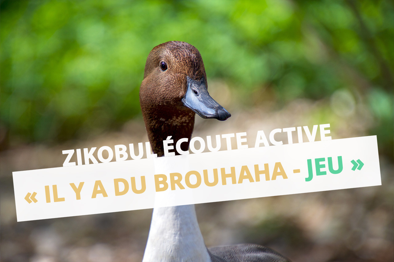 il y a du brouhaha jeu ecoute active maternelle chanterelle animaux salle motricite zikobul cpem moselle eac57