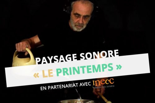 paysage sonore printemps rené le borgne inecc ressource musique kit éducation musicale écoute école dsden 57 moselle eac cpem