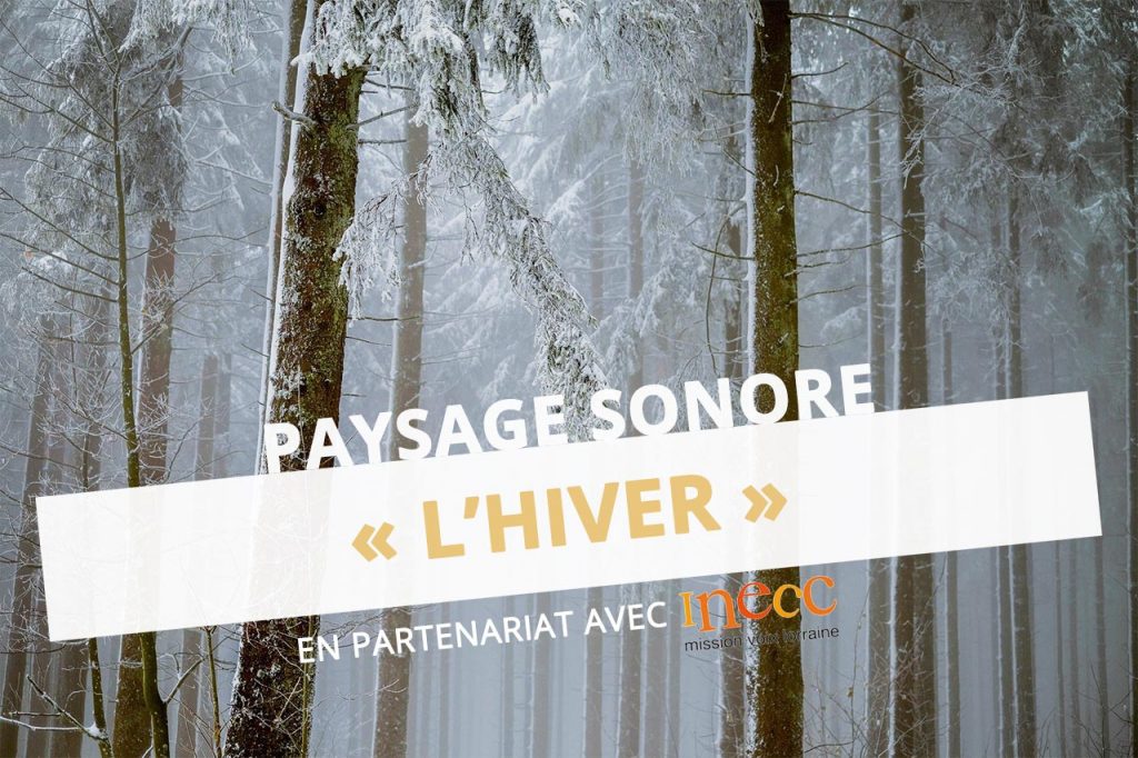 Paysage sonore ressource musique hiver instruments René Le Borgne INECC eac57 dsden moselle cpem