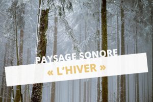 Paysage sonore ressource musique hiver instruments René Le Borgne INECC eac57 dsden moselle cpem