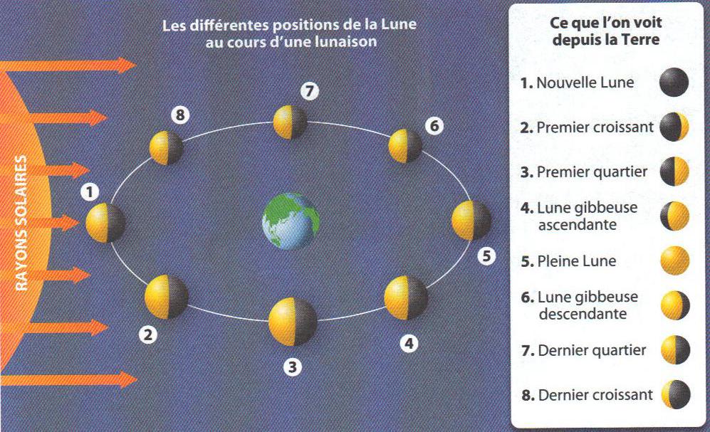 Electricité : les circuits électriques - A l'école du P'tit Sentier