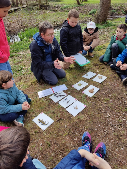 inventaire-amphibiens-03-04-2026-classes-500px.jpg