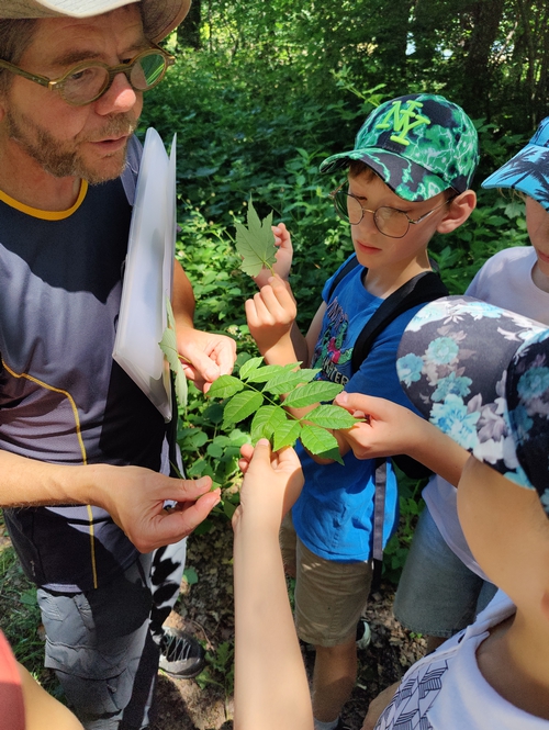 inventaire-plantes-ZH-18-06-2026-02.jpg