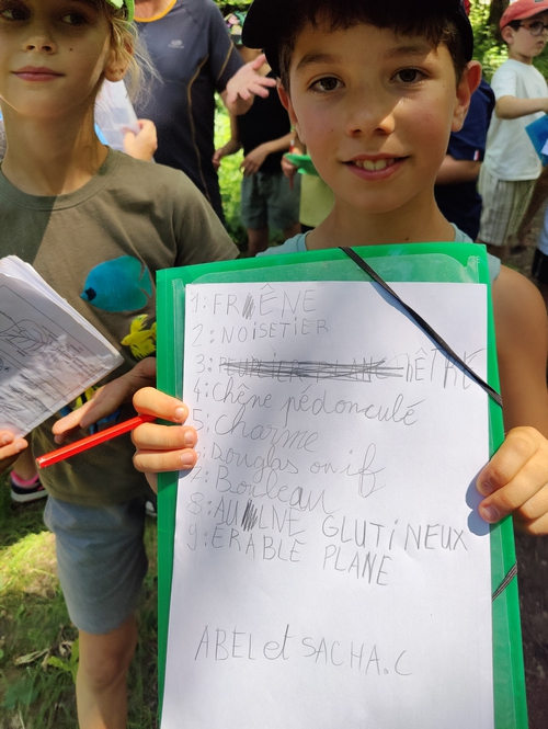 inventaire-plantes-ZH-18-06-2026-03.jpg
