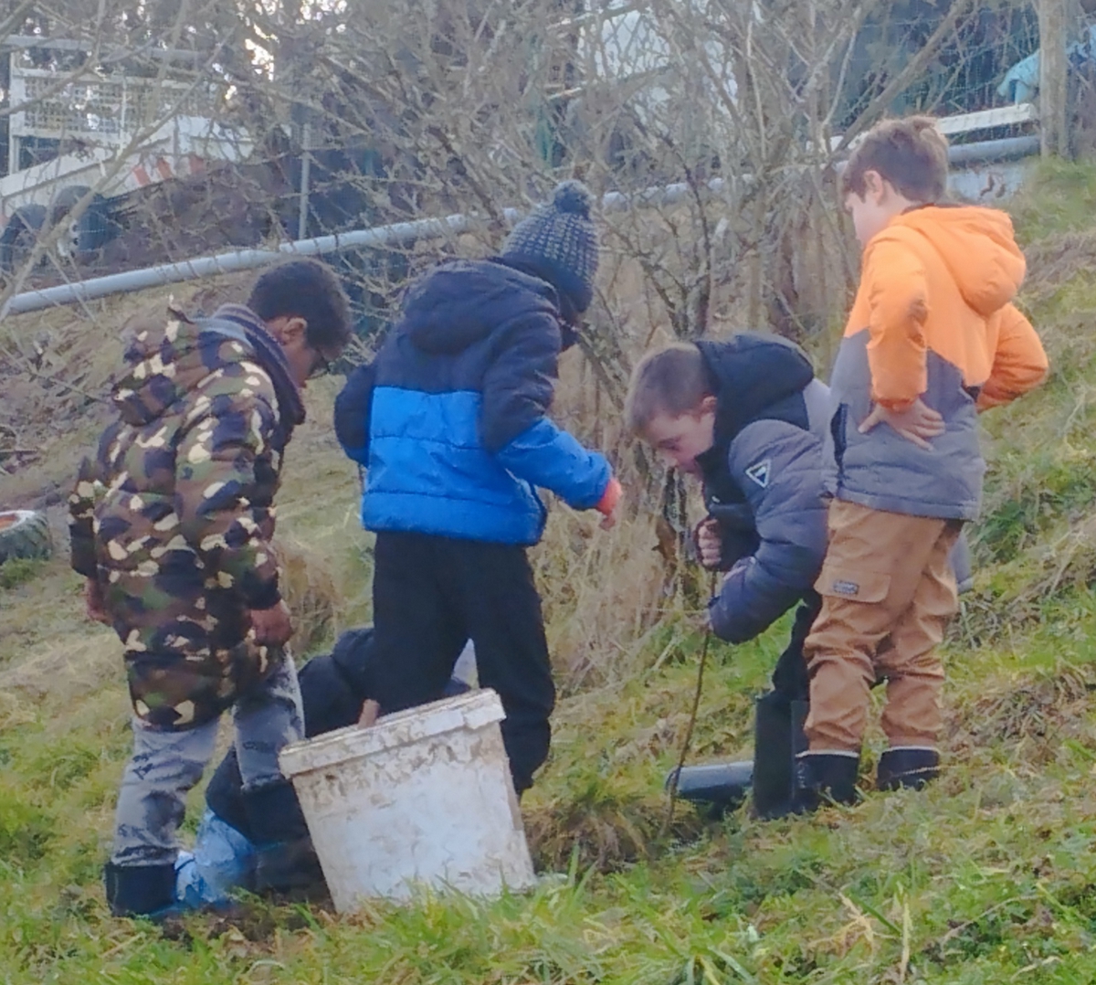 plantation-haie-champetre-31-01-2025-02.jpg plantation-haie-champetre-31-01-2025-02.jpg