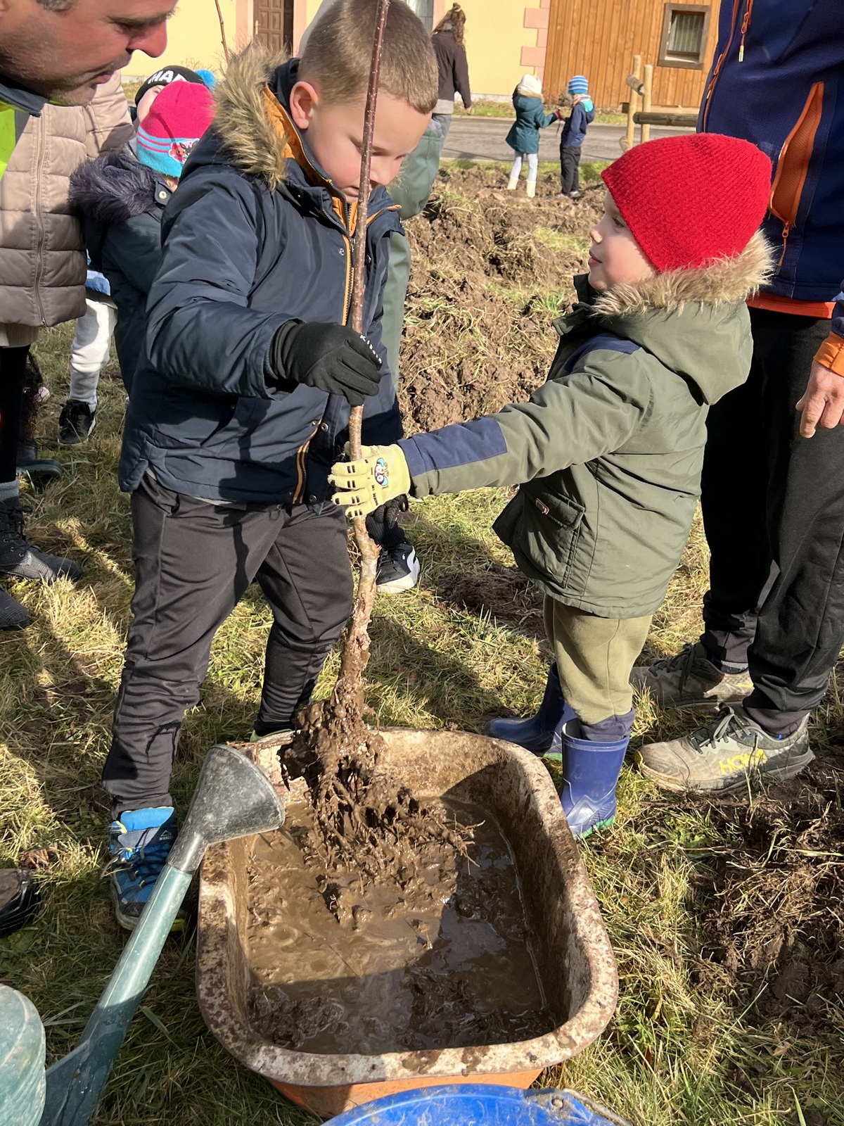 plantation-haie-champetre-31-01-2025-03.jpg plantation-haie-champetre-31-01-2025-03.jpg