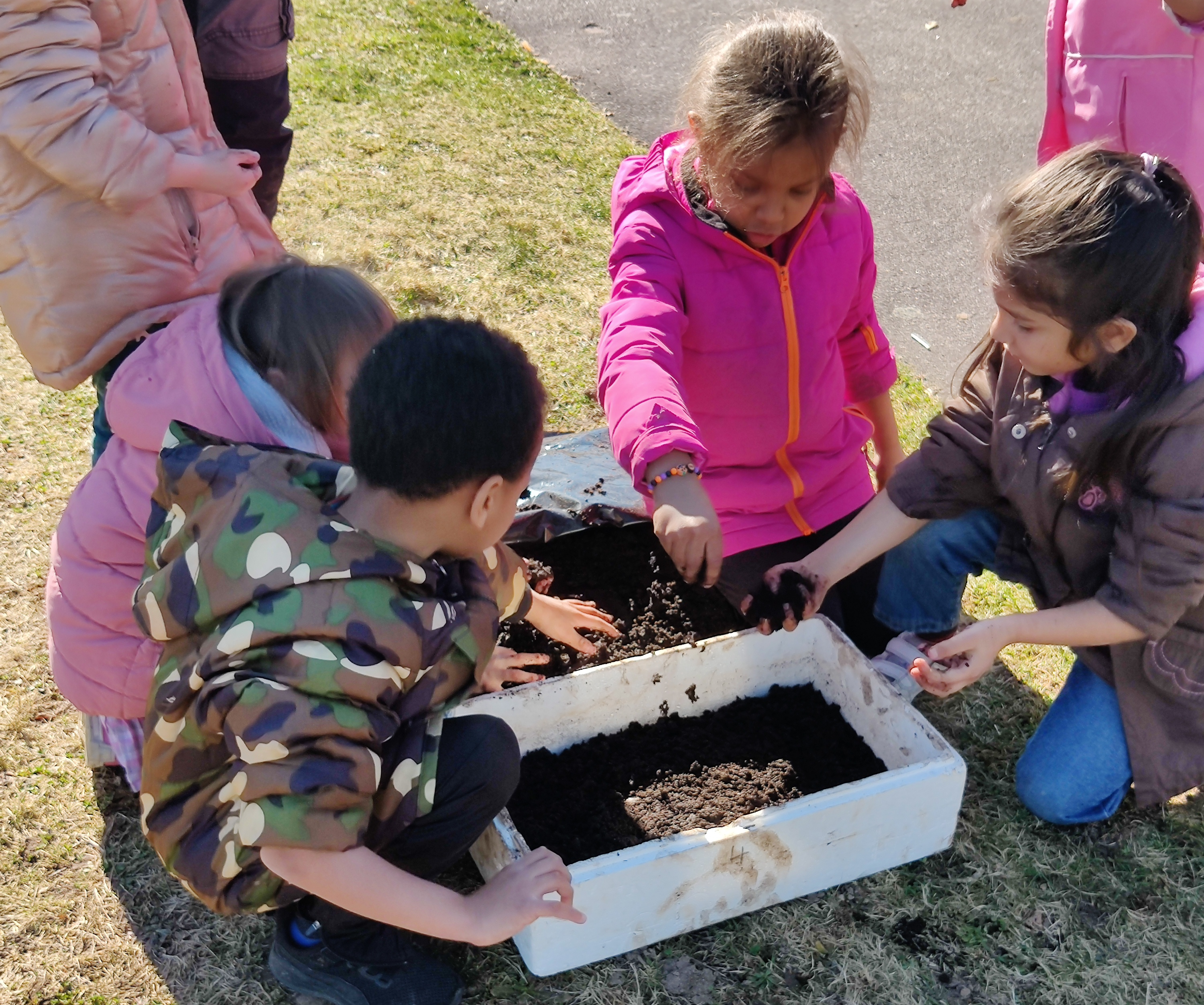 semis001.jpg semis001.jpg