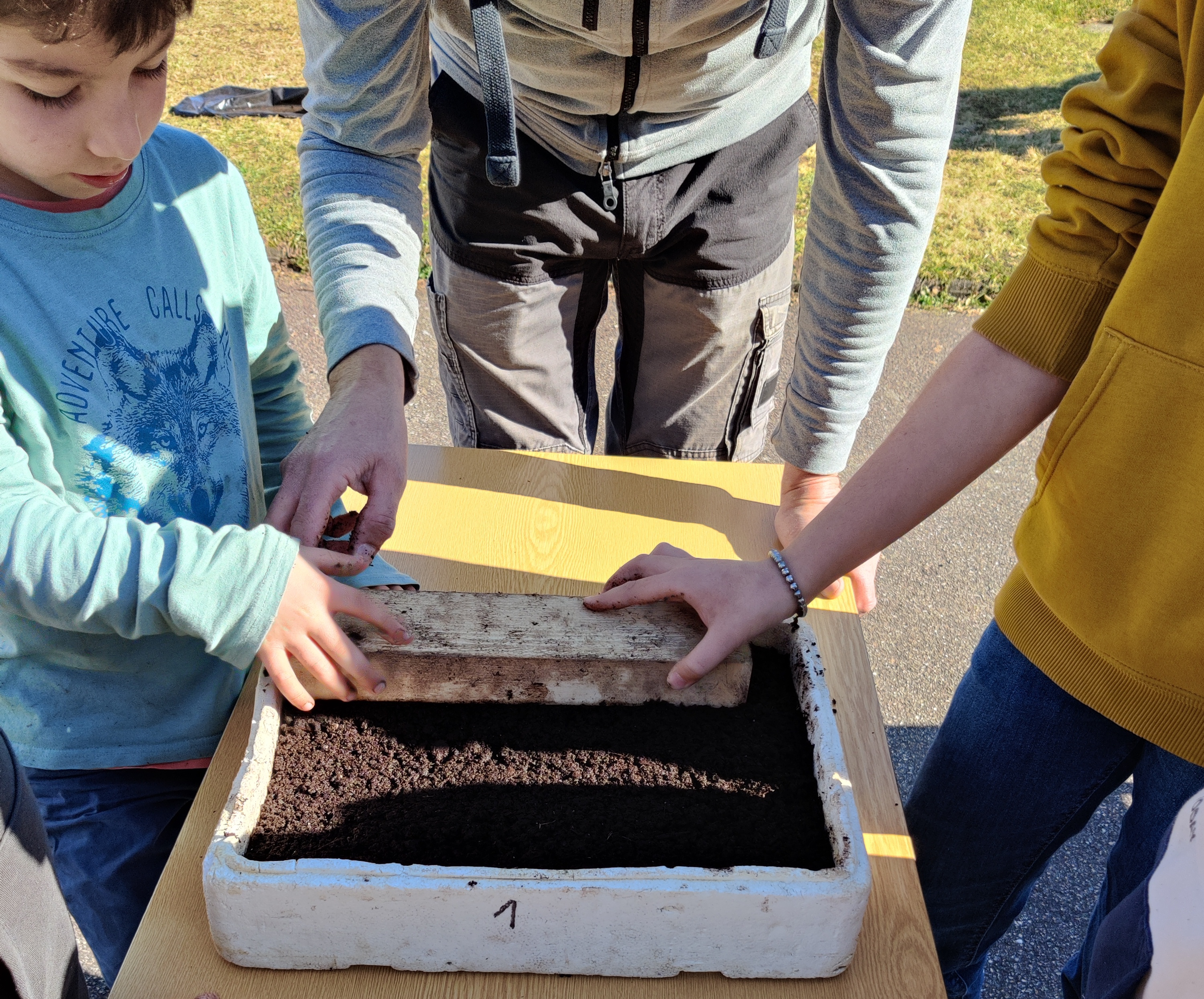 semis002.jpg semis002.jpg