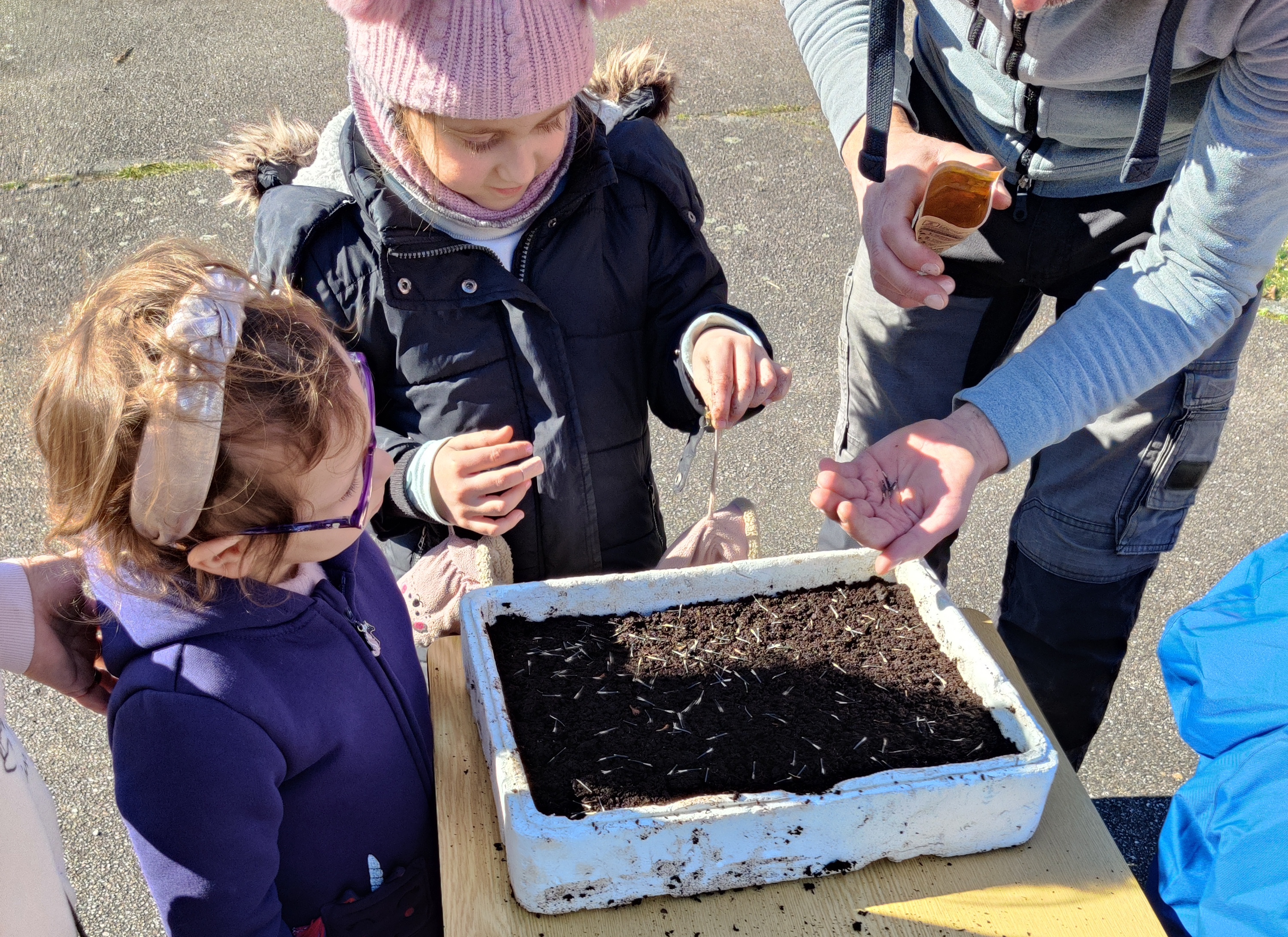 semis001.jpg semis003.jpg