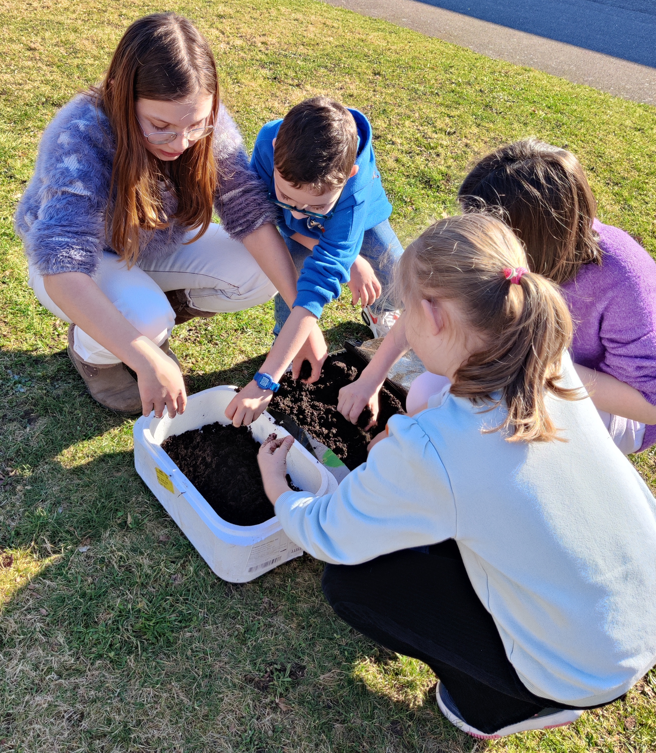 semis004.jpg semis004.jpg