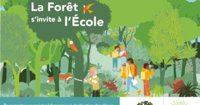 Appel à projet, « la Forêt s’invite à l’École »