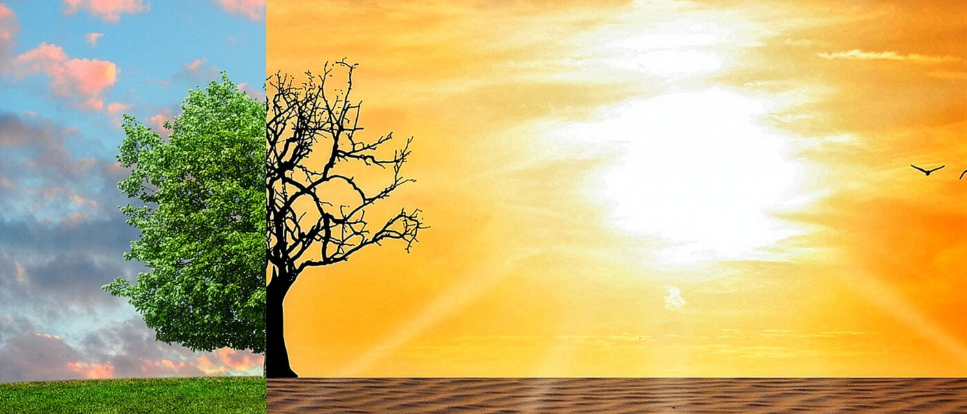 Une exposition pour comprendre et agir face au changement climatique