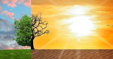 Une exposition pour comprendre et agir face au changement climatique Une exposition pour comprendre et agir face au changement climatique