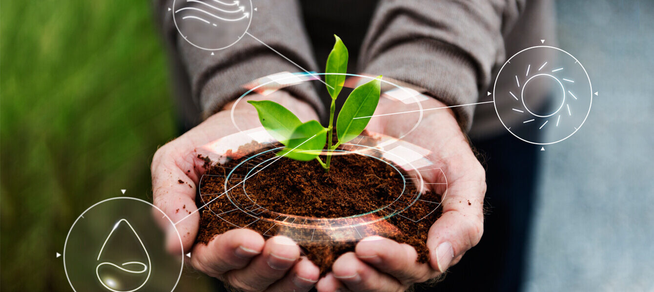 Les formations du cycle « éducation au développement durable » 2026-2027