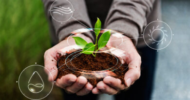 Les formations du cycle « éducation au développement durable » 2026-2027 Les formations du cycle « éducation au développement durable » 2026-2027