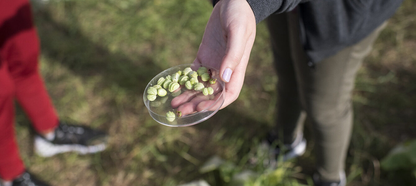 Sixième édition du Prix de l’action éco-déléguée 