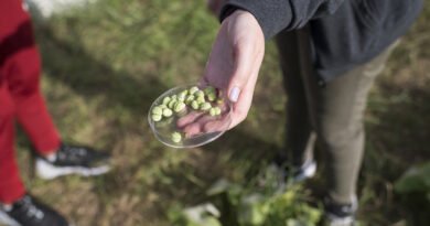 Sixième édition du Prix de l’action éco-déléguée 