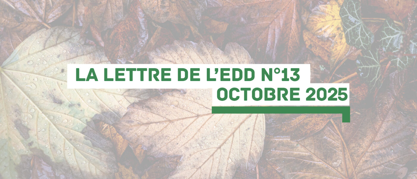 La lettre de l’EDD n°13