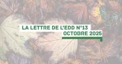 La lettre de l’EDD n°13