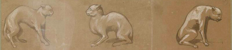 DECOUVRIR EUGENE VIOLLET-LE-DUC A L’AIDE DE RESSOURCES NUMERIQUES