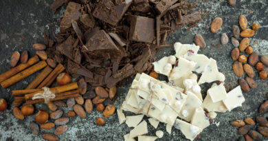 Quel chocolat pour demain ? 