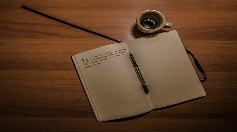 Le journal de bord du capitaine